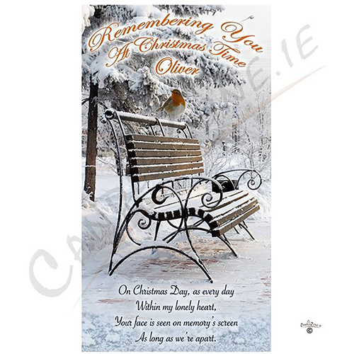 Customised Christmas - Robin & Metal Bench