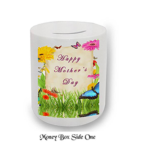 Customised Mothers Day Money Box Gift - Butterflies & Flowers