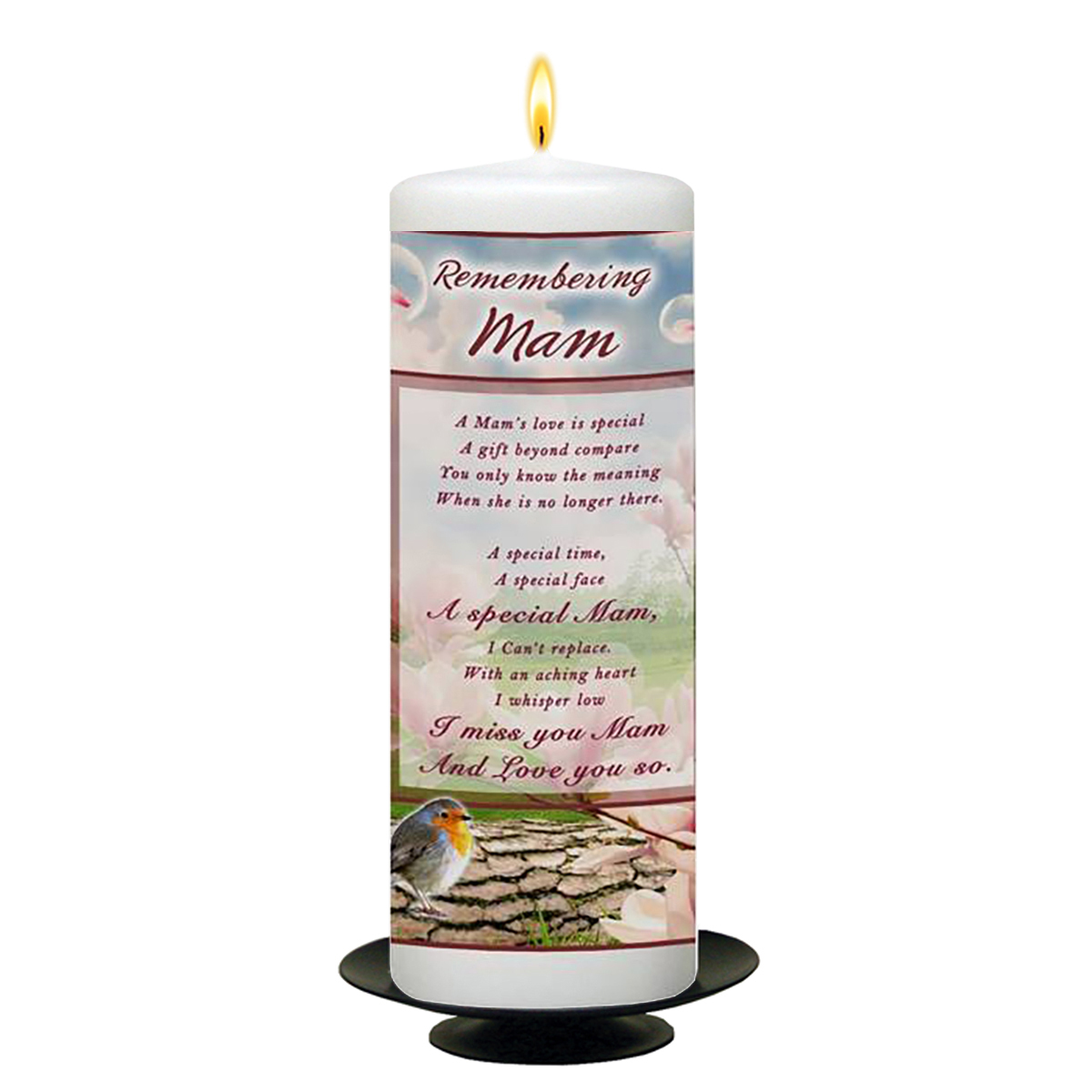 Customised Mothers Day - Robin & Bubbles Candle