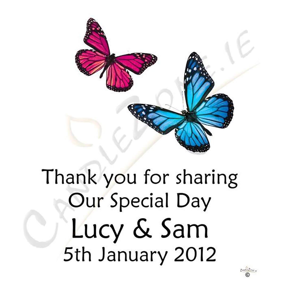 Customised Thank you Wedding Favour - Orange & Green Butterflies Siver